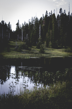 obsol:  eartheld:  saepphire:  ❁  xx          nature hq        