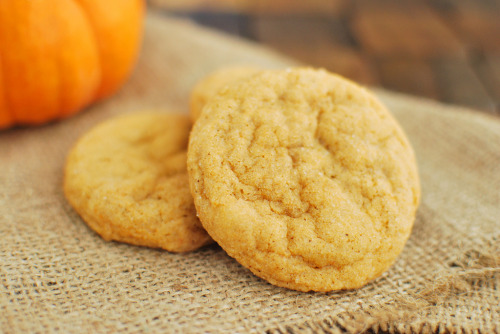 delectabledelight:  Pumpkin Pudding Snickerdoodles (by fakeginger) 