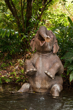 fakenasty:  😍😍  This is the happiest looking elephant that I&rsquo;ve ever seen.  