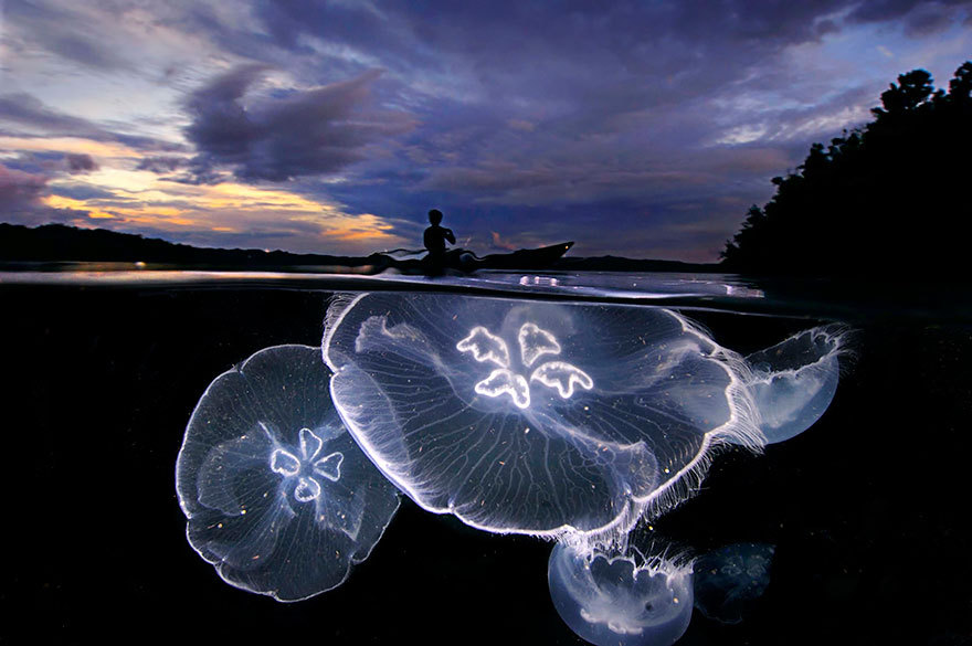 boredpanda:    20+ Breathtaking Photos Taken Between Two Worlds   