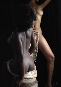 meapp:  Ivory And Ebony by charmeurindien