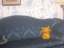 weirdrussians:  This is terrifying. Look what have they done to Pikachu in Russia.