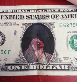 stunningpicture:  Received this dollar from a customer today. 