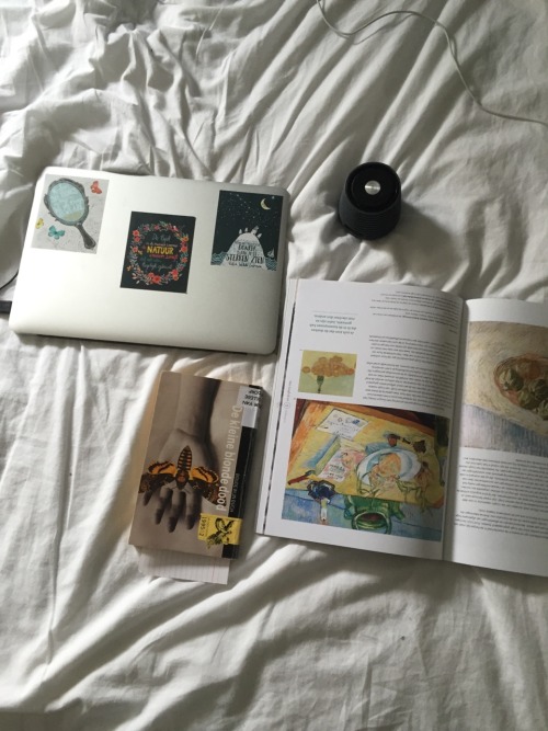 boishome:  Is my room nice?