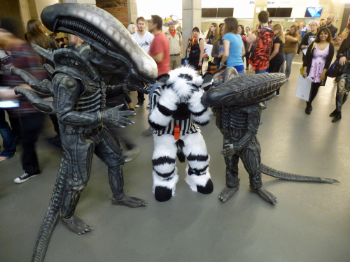 A couple of Aliens are about to feast on a poor “Strypes” the Zebra. #MonsterSuitMonday 