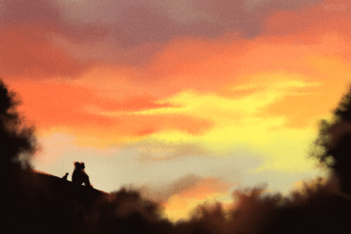 sky studies