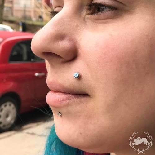 Healing upper lip piercing from a few weeks ago with a white gold Choctaw - @bvla @six16piercing#s