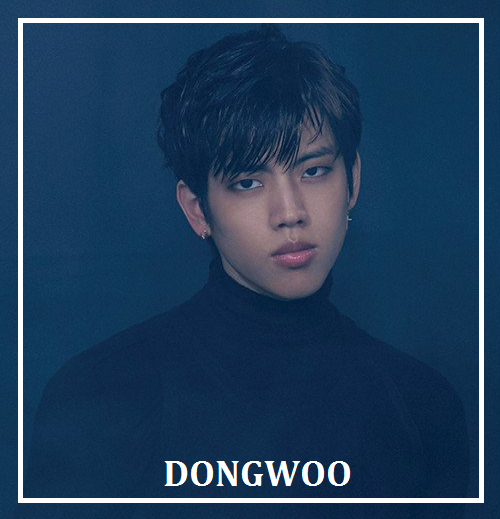 ifntchaser: INFINITE ONLY     9/19