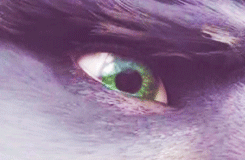 frozendragons-deactivated201404:  -Cool things in ROTG: eyes. 