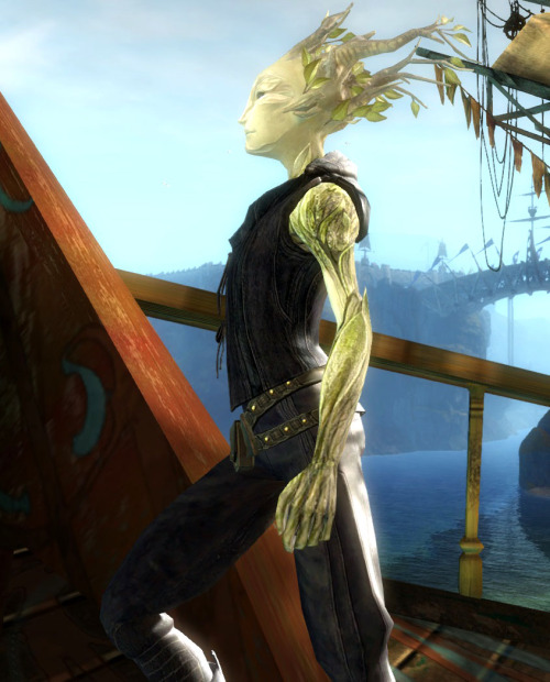 Skuggbjörk, a Mesmer, one of my Guild Wars 2 alts. Love the Sylvari, they are just beyond fun to mak