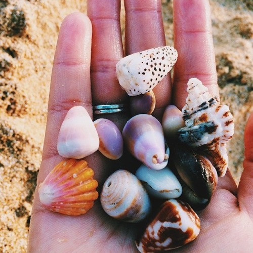 http://sweet-missy.tumblr.com/post/90663290651