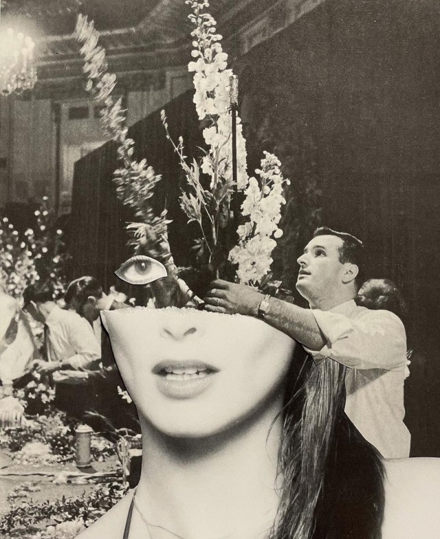 darksilenceinsuburbiareloaded:Erin Houghtaling | Beauty Operator, 2021 | analog collage @okay_collage 