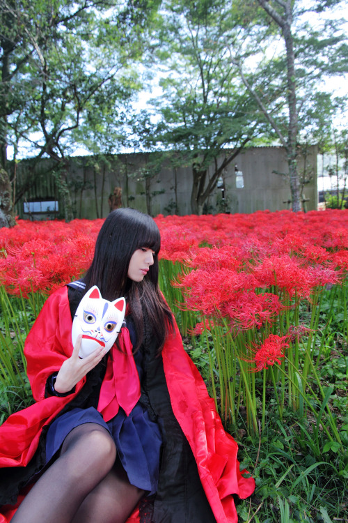 one-s-wings:  狐花 20150922 model:(one-s-wings) photo:(myv-masaru)