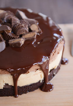 foodffs:Peanut Butter Chocolate Mousse Brownie