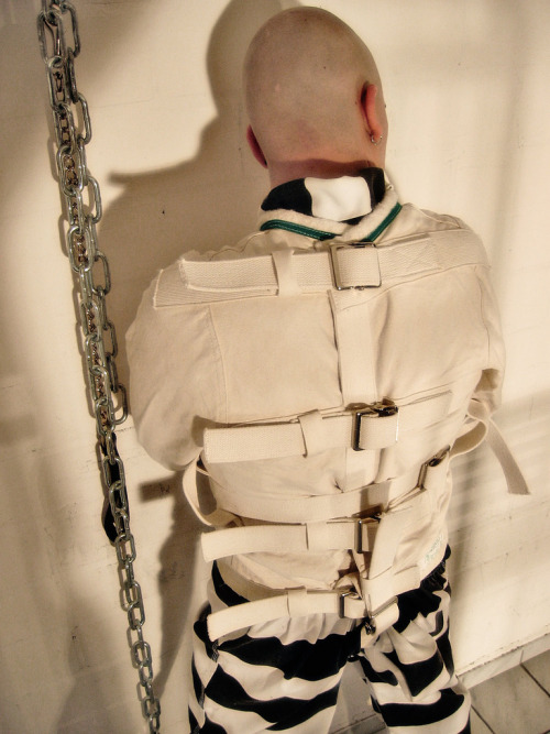 fcukpuppy:  Collection - 39