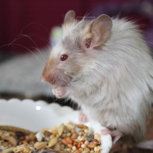 We love teeny oldie boys who eat teeny snackies with their teeny fingies.