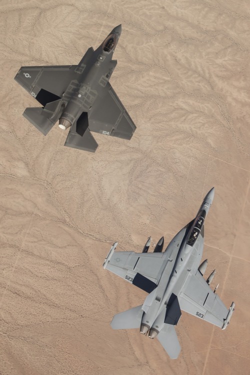 robotpignet:  F-35C - EF-18G