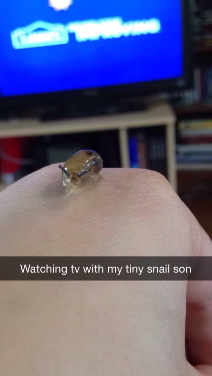 mudkipful:  mudkipful:  suck-my-otaku-ass:  gayswimlord:  Reasons not to add me on snapchat:  What do you mean? I want to know more about you tiny snail son  did he graduate   i can see toriel doing this before frisk came along 