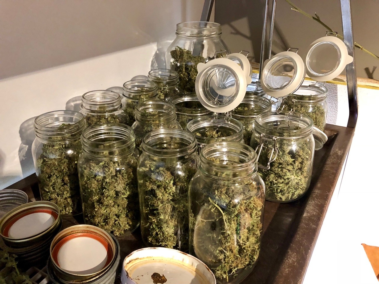 thebigwillay:  Some of my 2018 outdoor crop28 ounces of Black Indica.