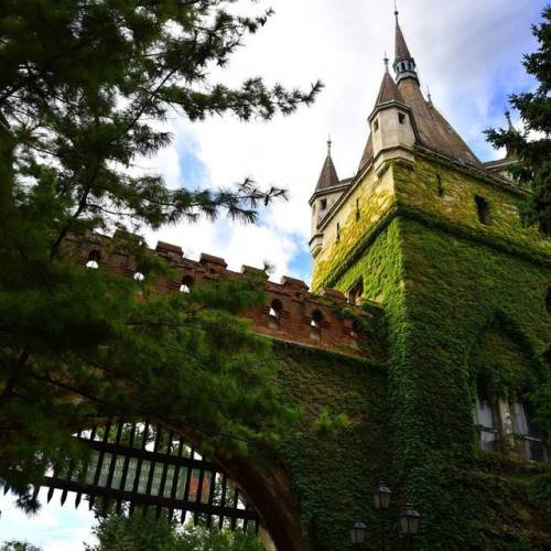 nilenia:Fairytale Castle🏰💚🌿 (Vajdahunyad Castle)