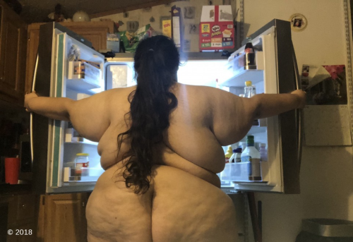 allyouneedisbellies:  Here’s a theme I like: Fat women in front of an open fridge