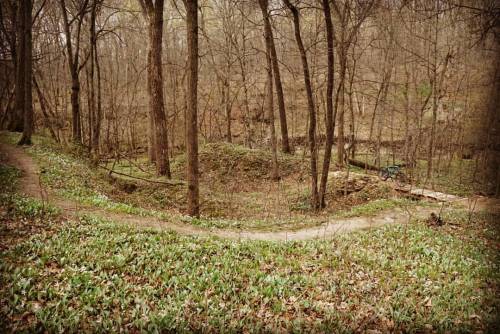 fuzzyimages:  My favorite section of #singletrack at Caron Park. Climbs through an old quarry into a