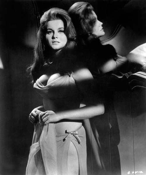 20th-century-man:
“ Ann-Margret
”
That moment when an amazing 80 year old woman sitting next to you at a party says, “Ann-Margaret is in my walking group,” and you take a deep breathe cause ANN-MARGRET.
My life is weird.