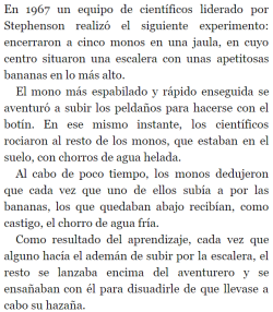 hachedesilencio:  Desayuno con partículas / Sonia Fernández-Vidal