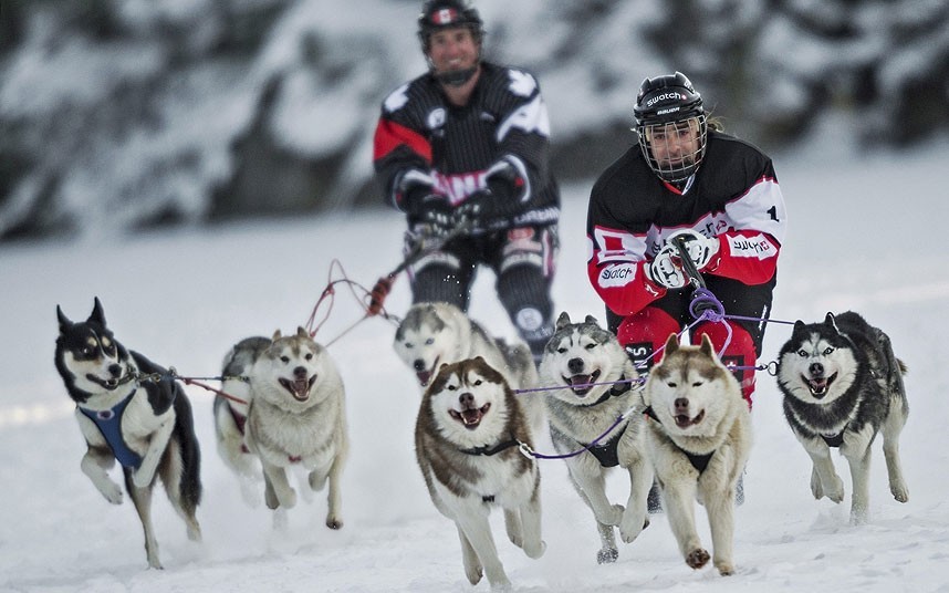 No sleds allowed (Red Bull Crashed Ice dogsled race in Finland)