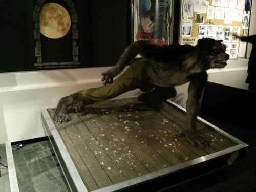 I took these photos a while ago when I visited the Telus World of Science Edmonton. #WerewolfWednesd