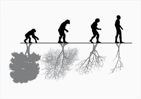 Evolution.