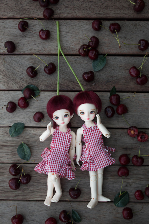 luciadollstudio:Cherry USD BJD Photo shoot 2/  루시아돌 체리 USD 구체관절인형 화보2  As soon as it stopped raining