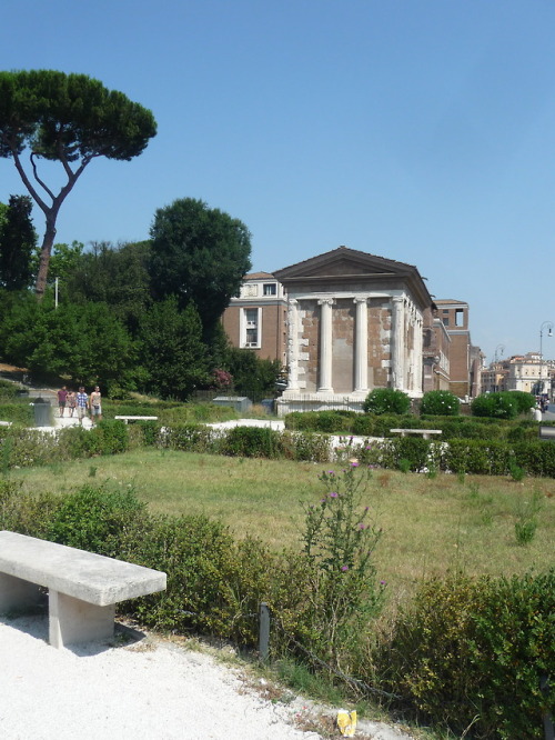 Forum Boarium, RomeI’ve probably posted several photos of these temples during the previous years, b