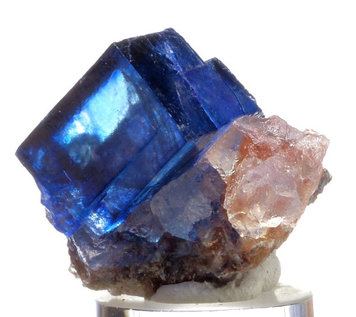 mineralists:  Rare blue Halite on Sylvite from Intrepid Potash East Mine, New Mexico