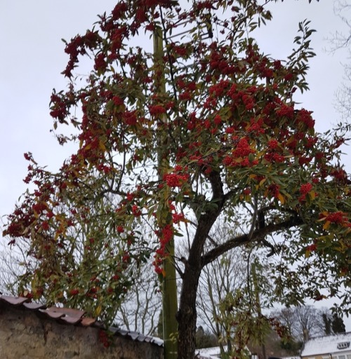 “Was a long and dark DecemberFrom the rooftops, I rememberThere was snow… white snow.” 