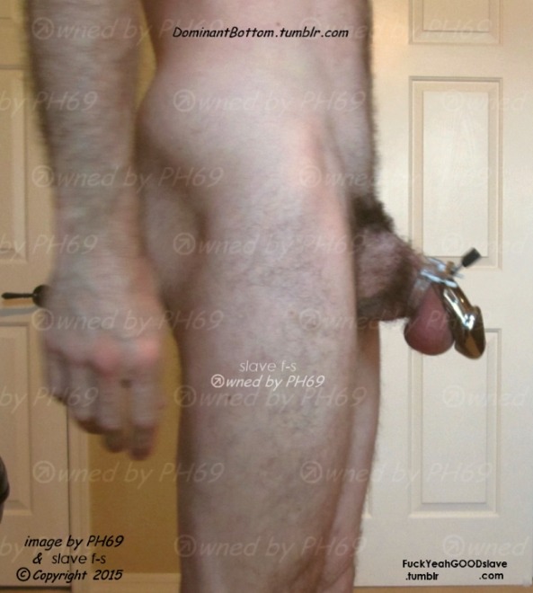 dominantbottom:  Some of the earliest pictures of My slave  submitted to Me. In the