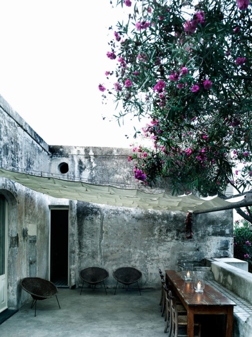 Italian garden in Stromboli