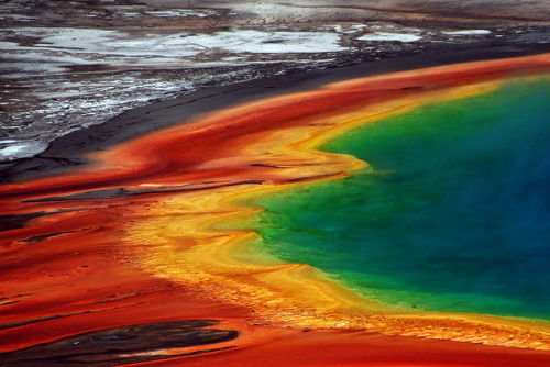 odditiesoflife:  Grand Prismatic Spring Located in Yellowstone National Park, Wyoming, the Grand Prismatic Spring is the largest natural hot spring found in the US. The spring has a scalding temperature of 160 °F (70 °C), a total depth of 160 feet