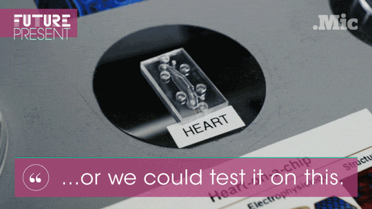 brigpod:  micdotcom:  Watch: These tiny “organ” chips could end animal testing