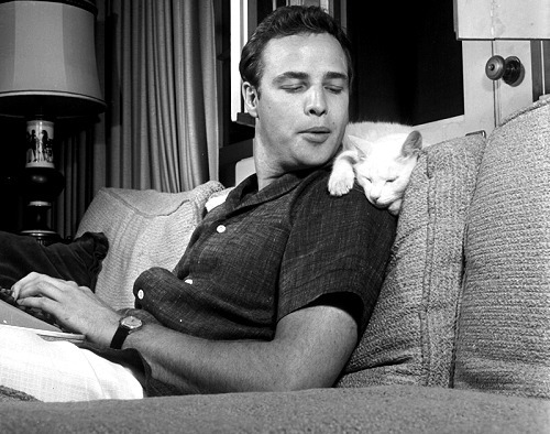 pierppasolini:  Marlon Brando and his cat, photographed by Murray Garrett, 1954. 