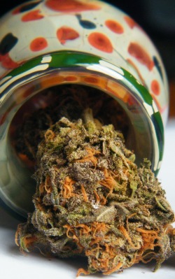 Always High, Never Dry