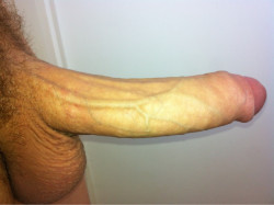 hungdudes:  Submission: My big cock and balls