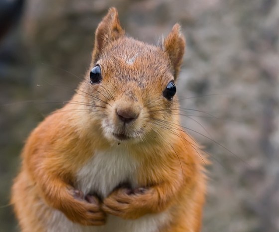 Sooo many squizles!!!!