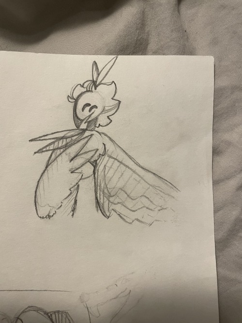 Doodles I Did At Class