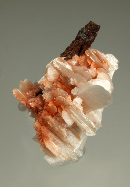 Cerussite with goethite Tharsis Mines, Tharsis, Alosno, Huelva, Andalusia, Spain