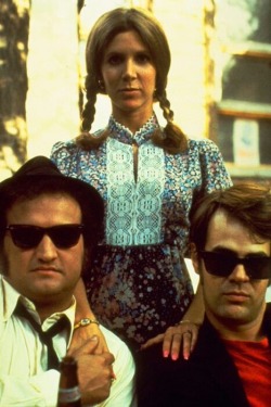 distopiaipotsid:  John Belushi, Carrie Fisher and Dan Aykroyd.