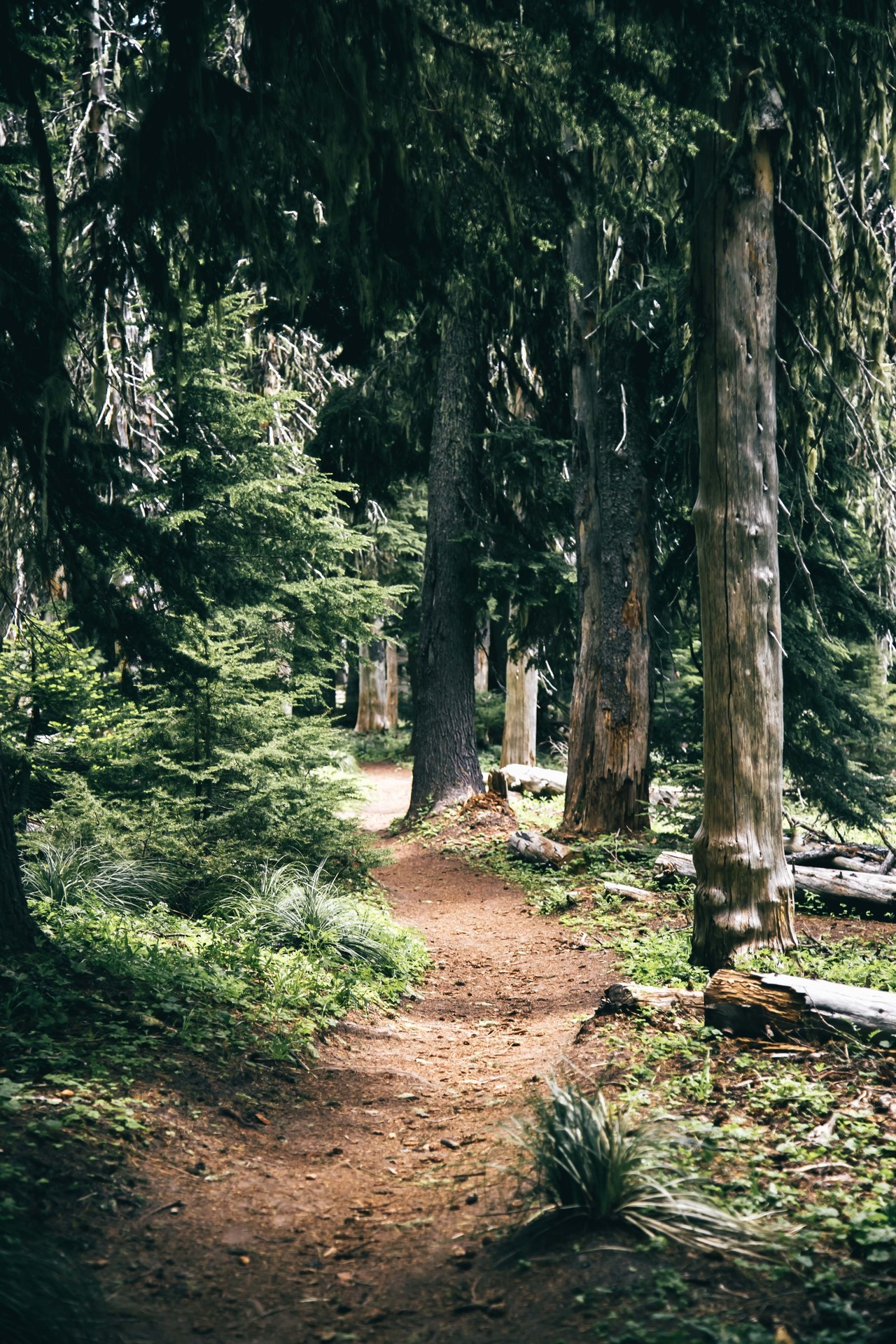 hannahkemp: Happy Trails Prints//Instagram 