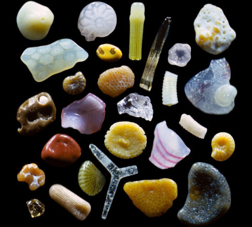 gaksdesigns:Grains of sand magnified 250 times. Shot by Dr.Gary Greenberg.When seen well beyond the 