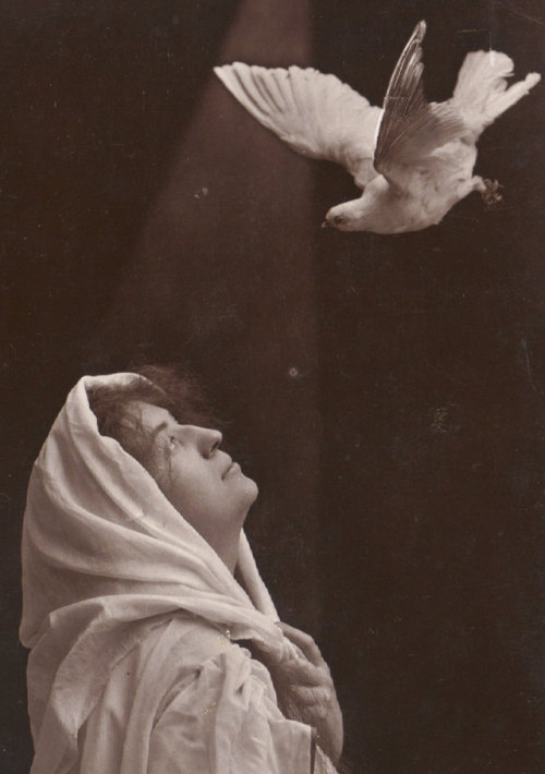 Grace, Oranotype by N.P.G. of Berlin, circa 1904