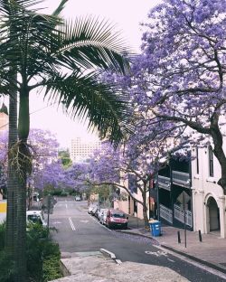 Purple rain 🌺🌸 (at Oxford Street)